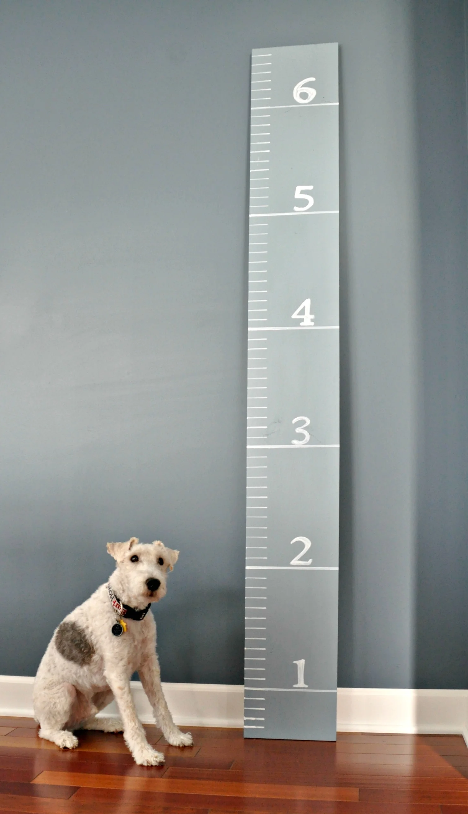 DIY Growth Chart Tutorial — Decor and the Dog